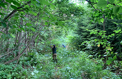 of Nanbu Town Photo